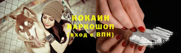 СК Заволжск