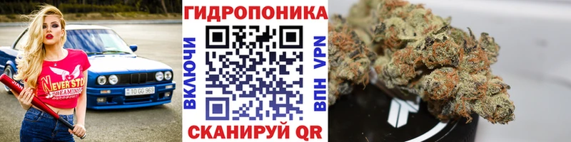 Купить где  Орск  МАРИХУАНА VHQ 